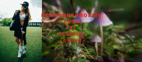 прущая мука Зеленодольск