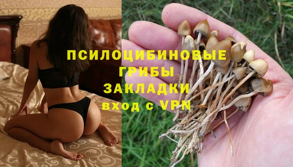 синтетический гашиш Зеленокумск
